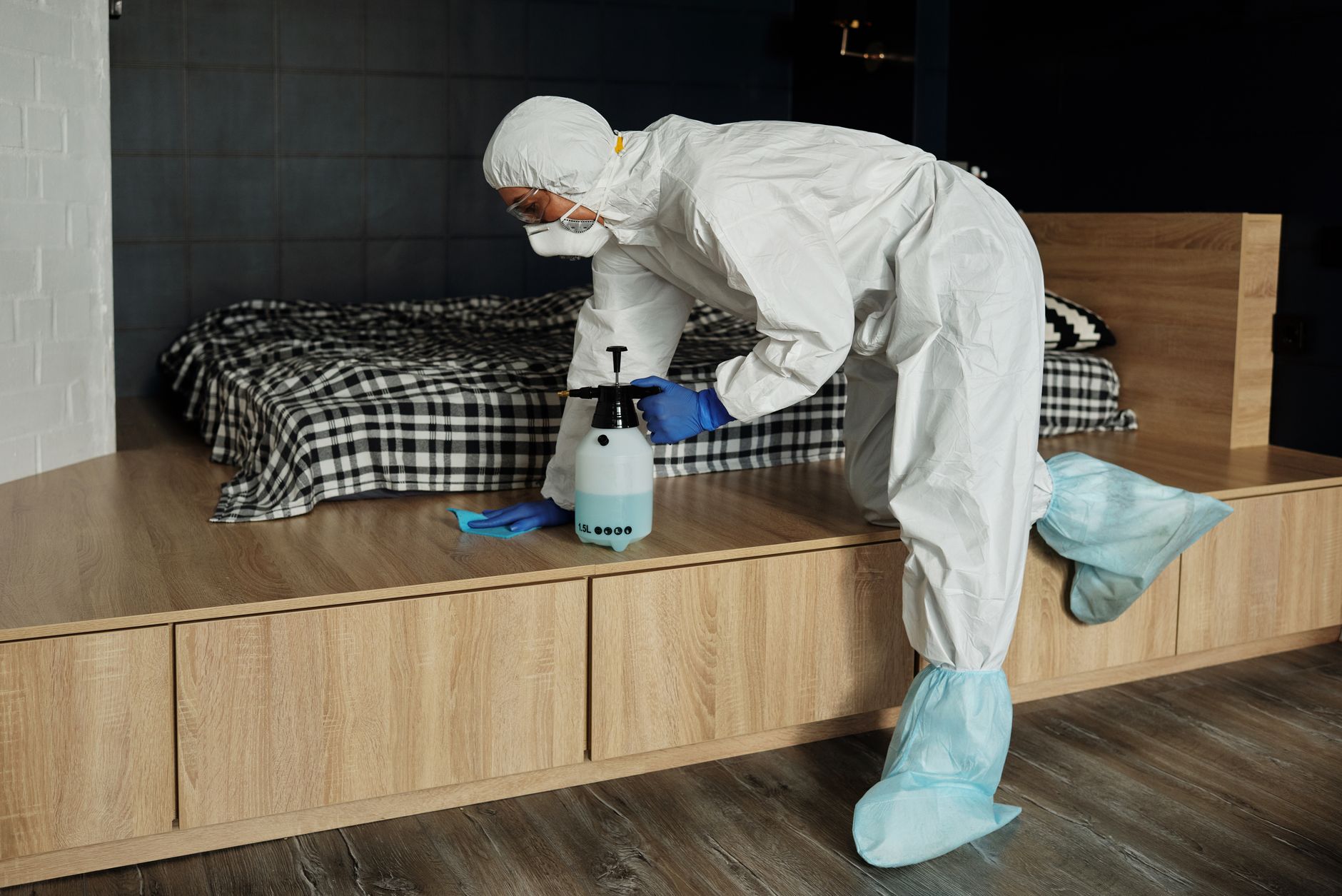 Clean whale reviews discover top rated cleaning services in new york