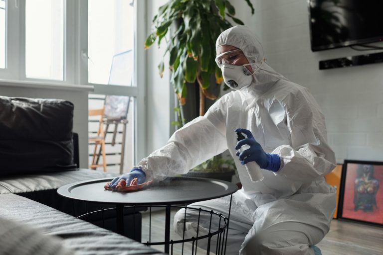 CleanWhale reviews discover top rated cleaning services in New York