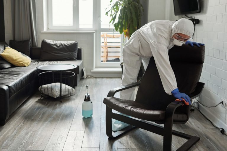 Discover the convenience of same day cleaning services in new york city