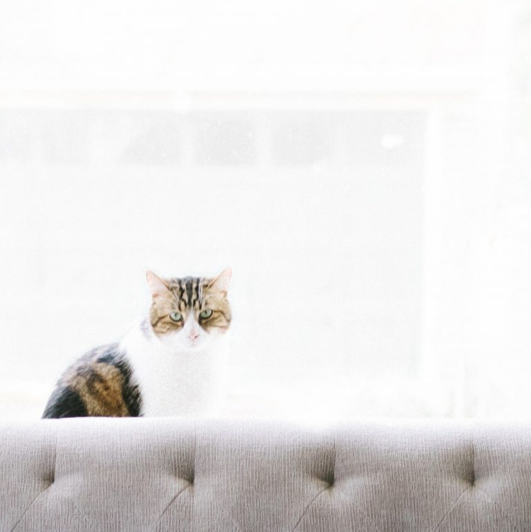 How to Wash Throw Pillows Without Ruining the Fabric