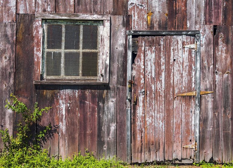 How to Clean Window Screens Without Removing Them