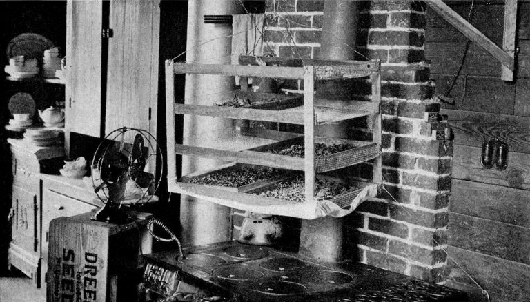 How to Clean a Greasy Range Hood in a Small Kitchen