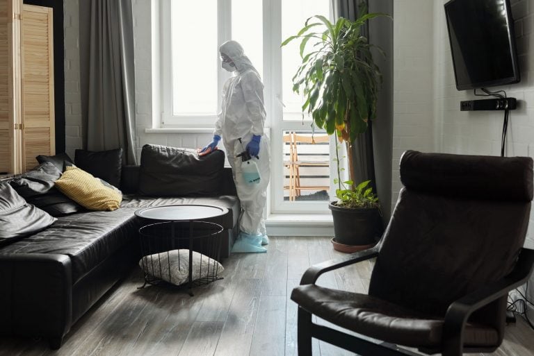 How to Prepare for Last-Minute Cleaning in New York: A Comprehensive Guide